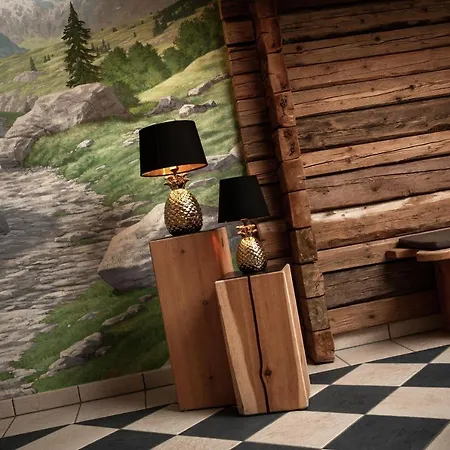 Vorderronach Hotel Saalbach