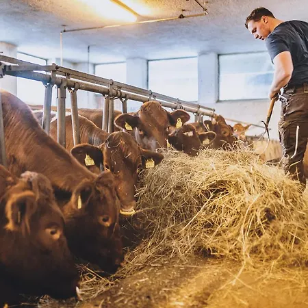 Vorderronach 3* 萨尔巴赫